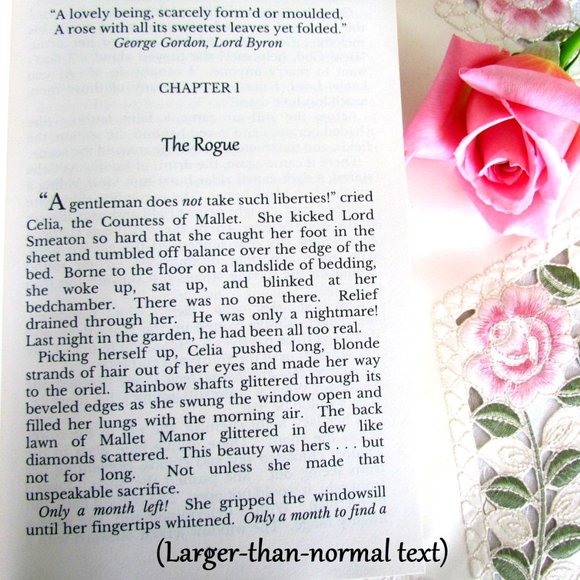 ROMANTIC NOVEL, THE ROGUE AND THE ROSE by MELLYORA ASHLEY, POSHMARK AUTHOR, NEW - Picture 3 of 4